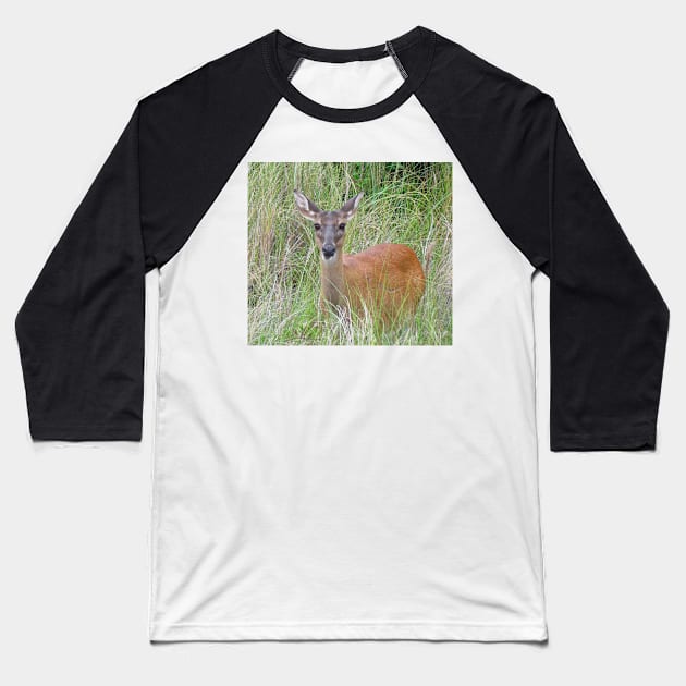 Beautiful Deer Baseball T-Shirt by Cynthia48